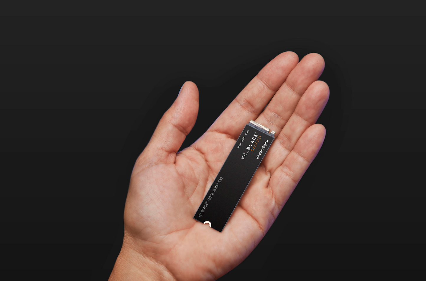 WD_BLACK 500GB SN770 NVMe SSD Internal SSD, Gaming - WDS500G3X0E-00B3N0